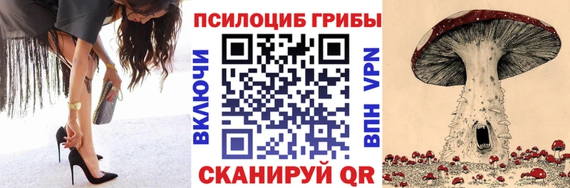 blacksprut зеркало  Магадан  Галлюциногенные грибы мицелий 
